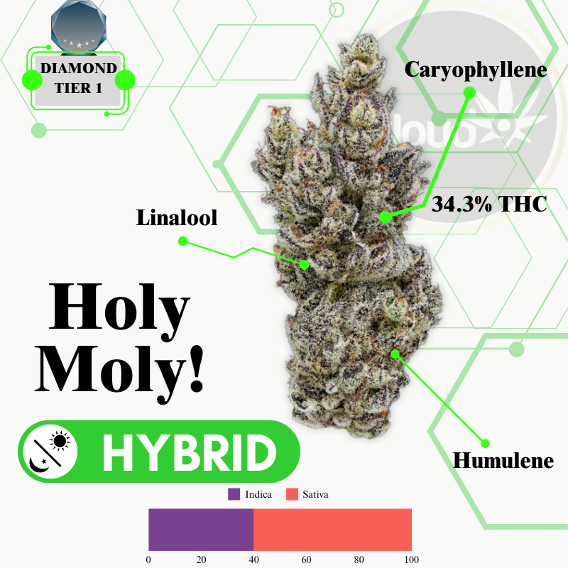 Holy Moly! - Indoor Flower - Diamond Tier 1