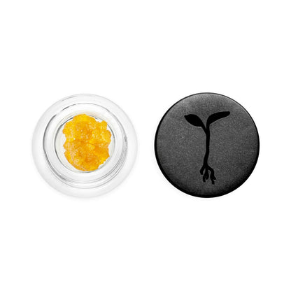 Kimbo Dream Live Resin (Raw Garden)