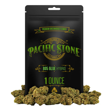 805 Glue Hybrid 28g (Pacific Stone)
