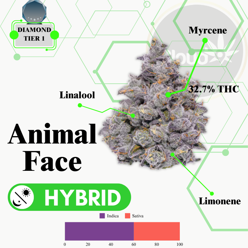 Animal Face - Indoor Flower - Diamond Tier 1